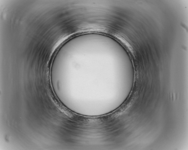 X0000095510933200712140931