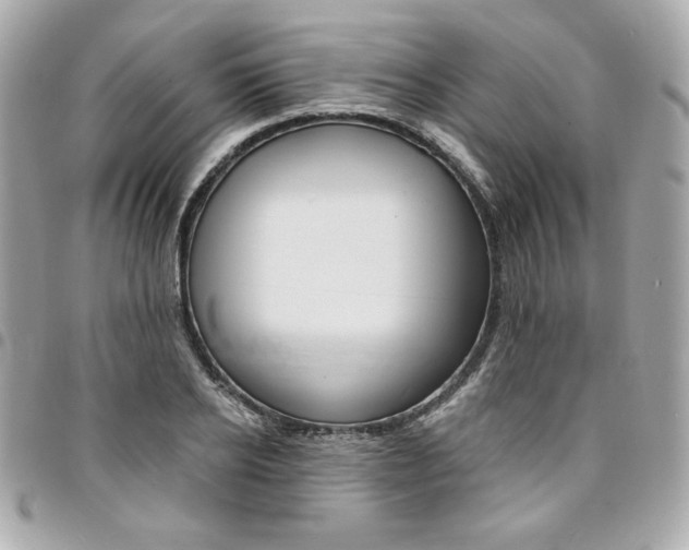 X0000095510934200712140931