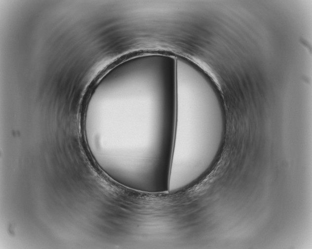 X0000095510935200712140931