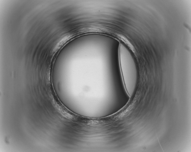 X0000095510938200712140931