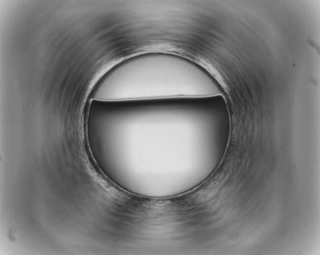 X0000095510939200712140931