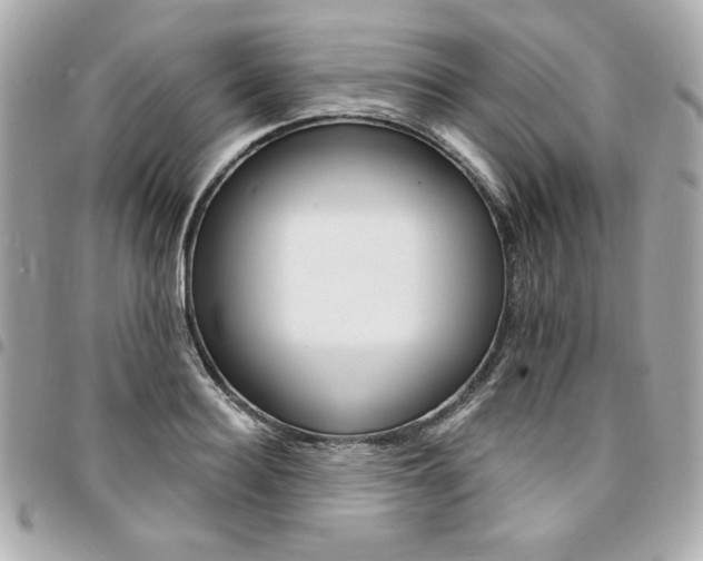 X0000095510940200712140931