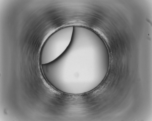 X0000095510941200712140931