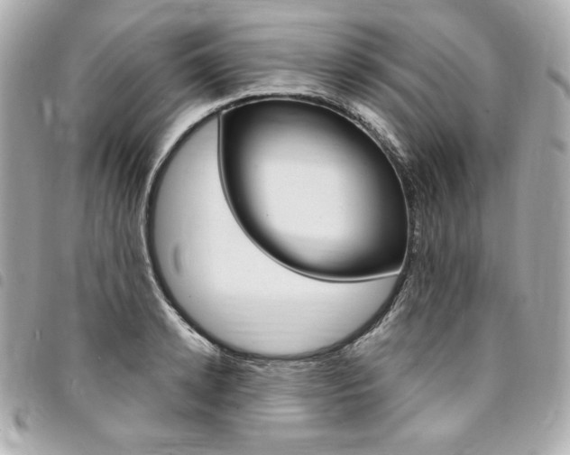 X0000095510942200712140931