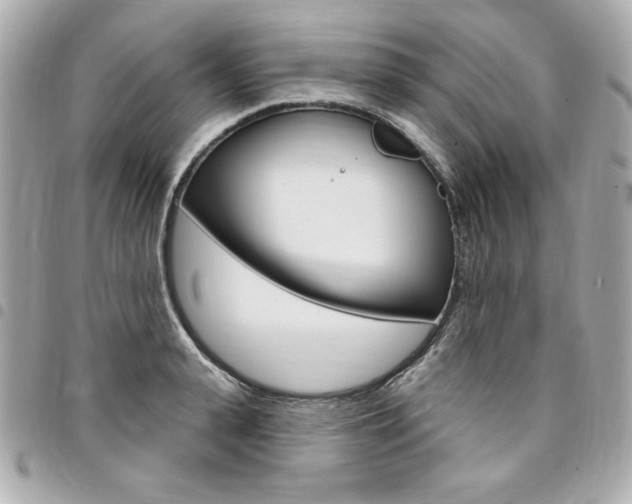 X0000095510943200712140931