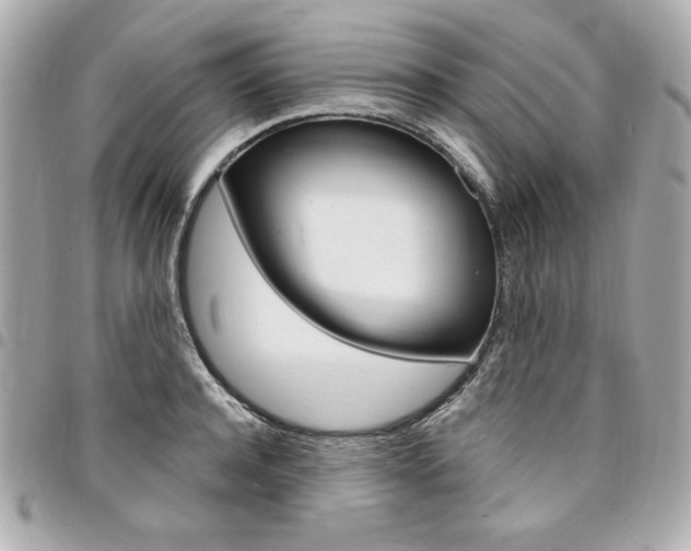 X0000095510944200712140931