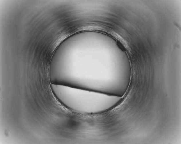 X0000095510945200712140931