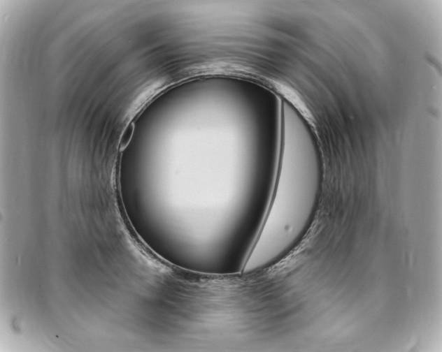 X0000095510946200712140931