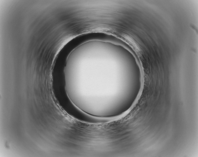 X0000095510948200712140931