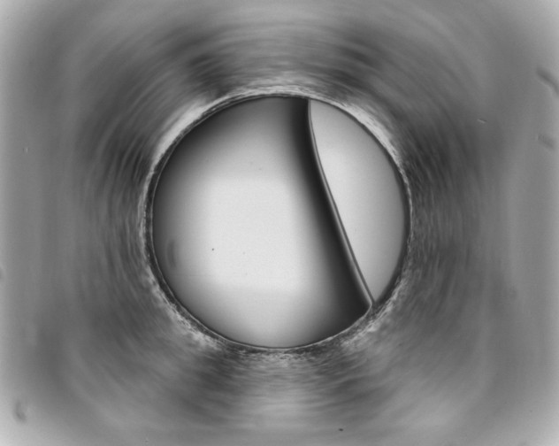 X0000095510949200712140931