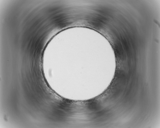 X0000095510950200712140931