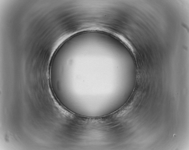 X0000095510951200712140931