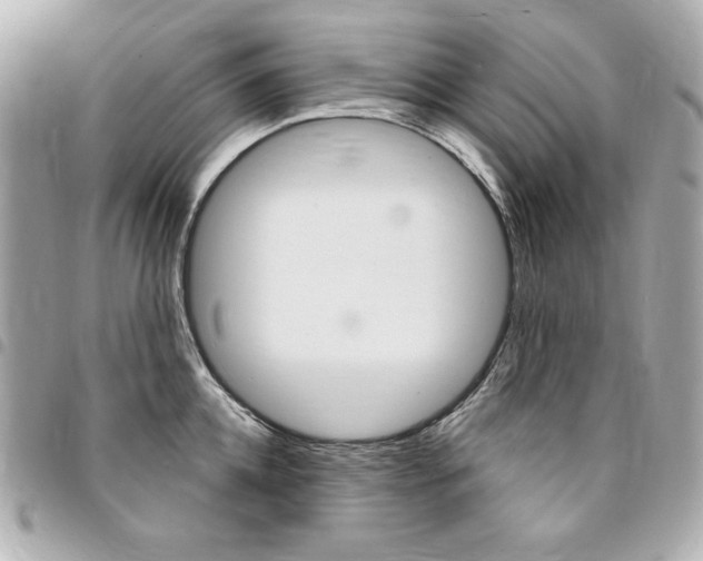 X0000095510952200712140931