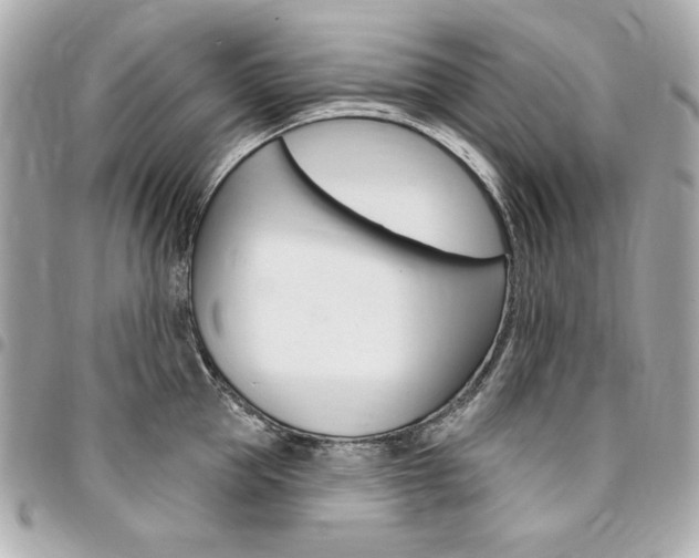 X0000095510953200712140932