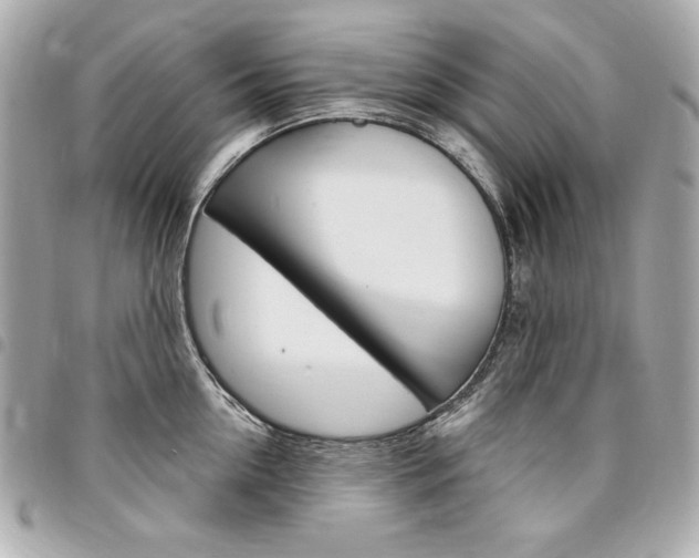 X0000095510954200712140932