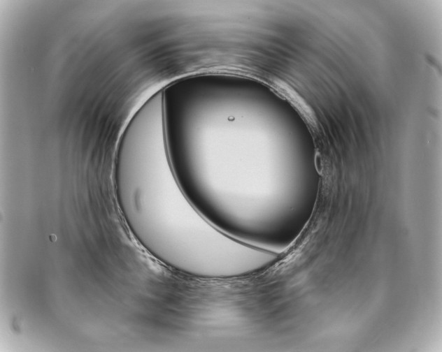 X0000095510956200712140932