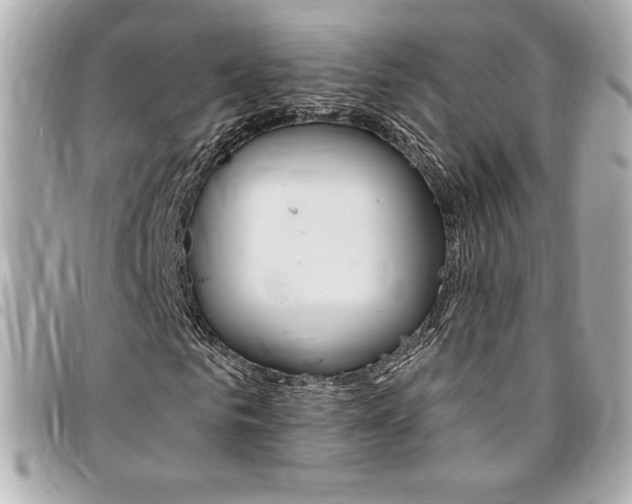 X0000095510961200712140931