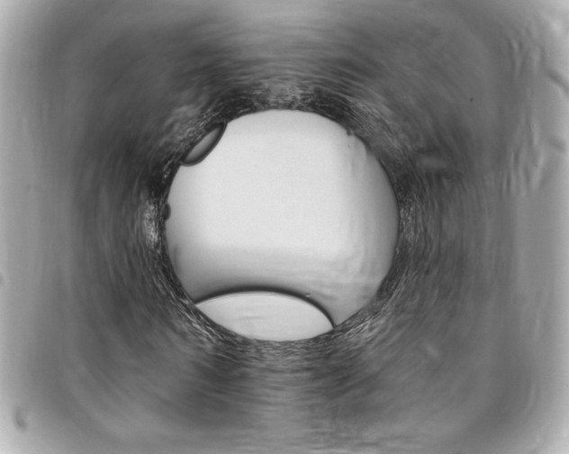 X0000095510962200712140931