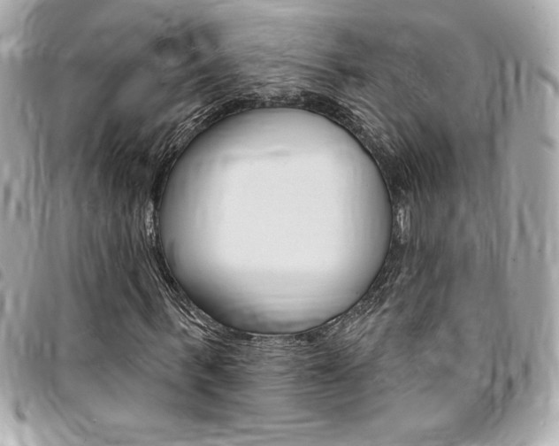 X0000095510963200712140931