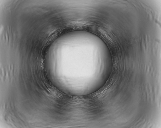 X0000095510964200712140931