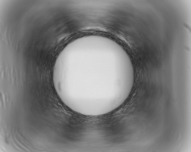 X0000095510965200712140931
