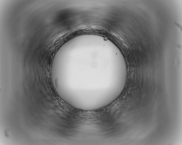 X0000095510966200712140931