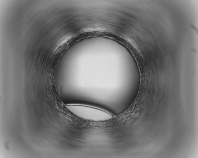 X0000095510967200712140931