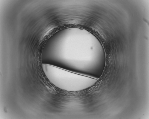 X0000095510968200712140931
