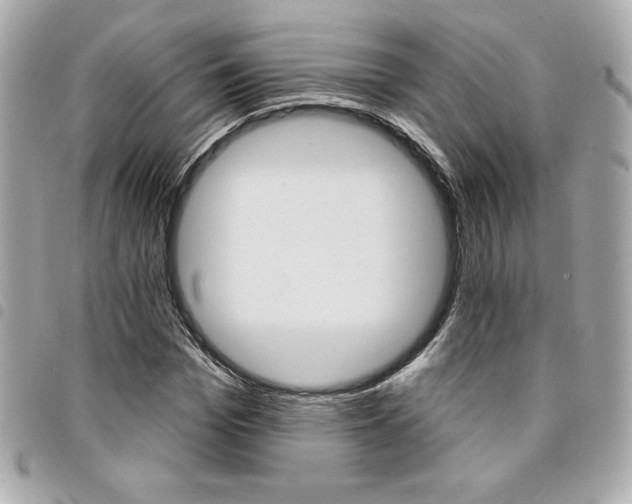 X0000095510969200712140931