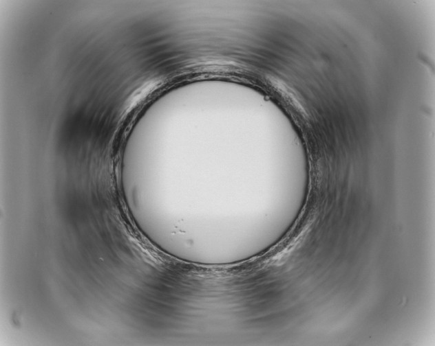 X0000095510970200712140931