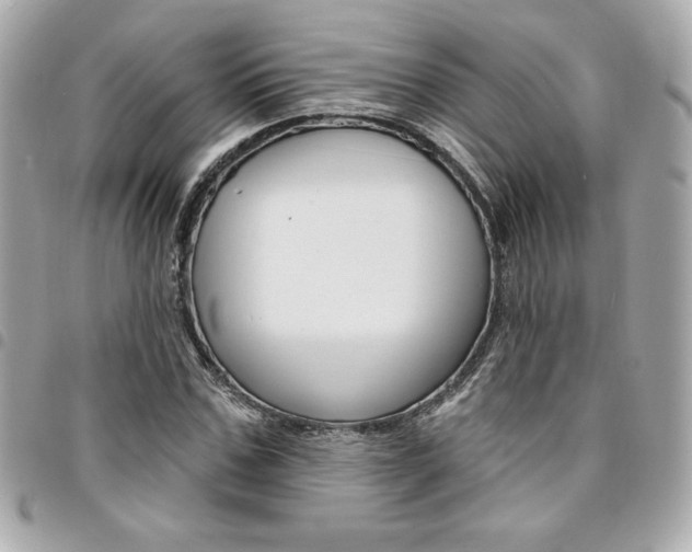 X0000095510971200712140931