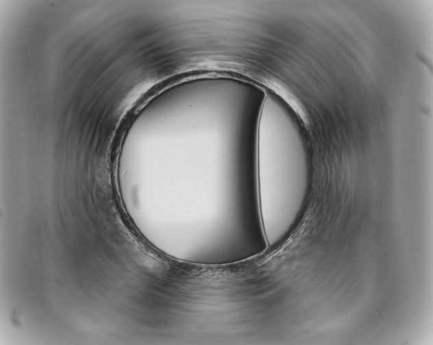X0000095510972200712140931