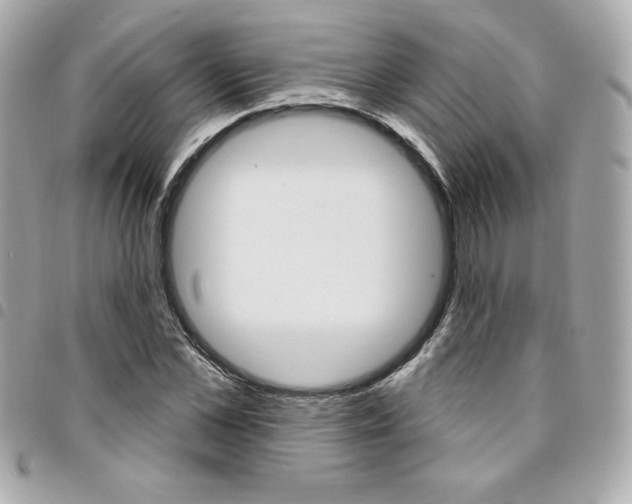 X0000095510973200712140931
