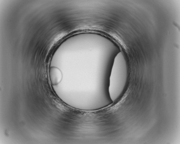 X0000095510974200712140931