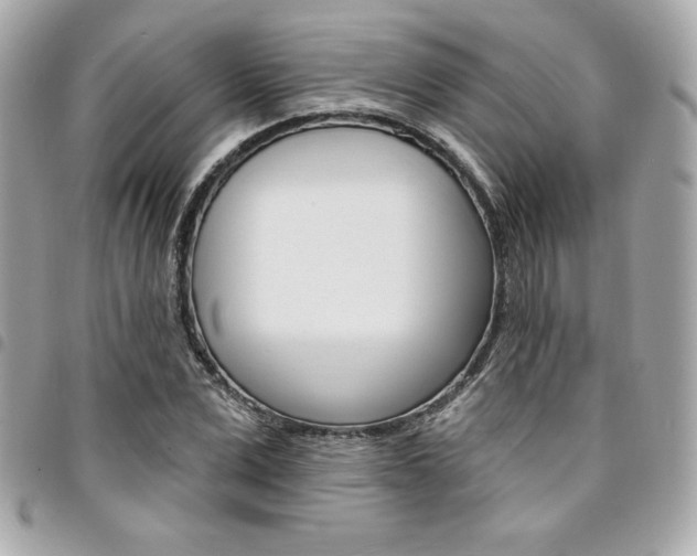 X0000095510975200712140931