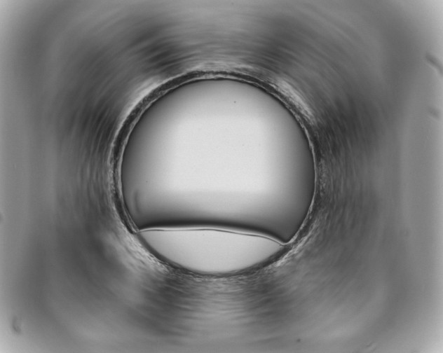 X0000095510976200712140931