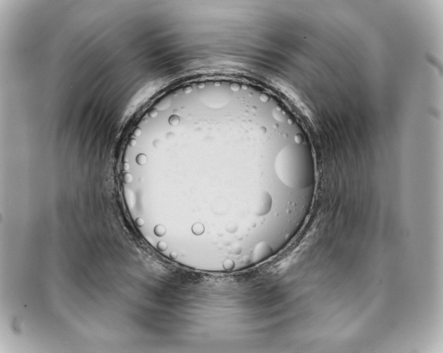 X0000095510978200712140931