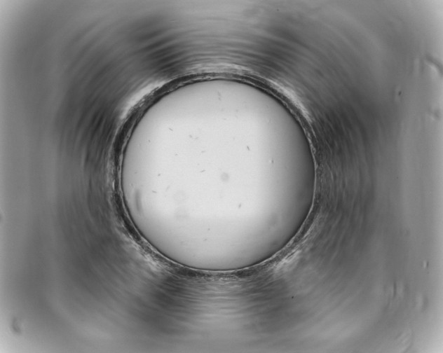 X0000095510979200712140931