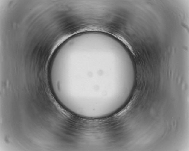 X0000095510981200712140931