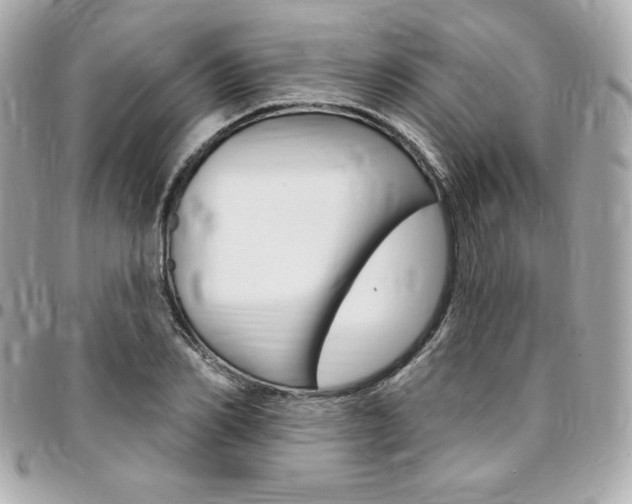 X0000095510982200712140931
