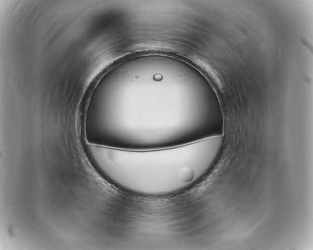 X0000095510983200712140931