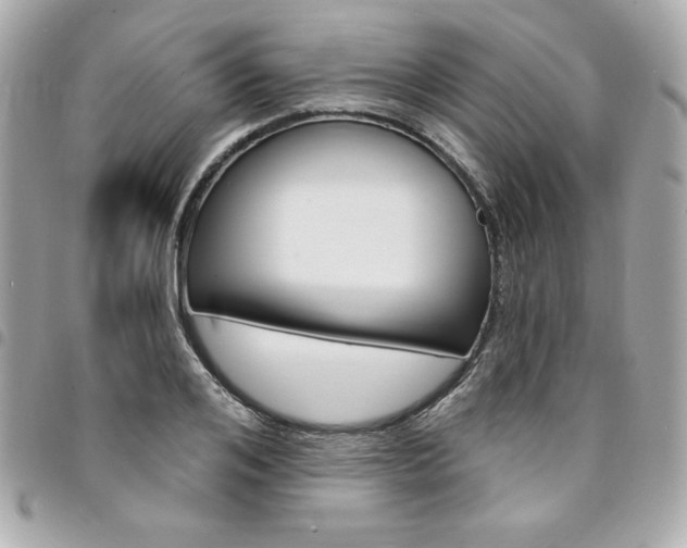 X0000095510984200712140931