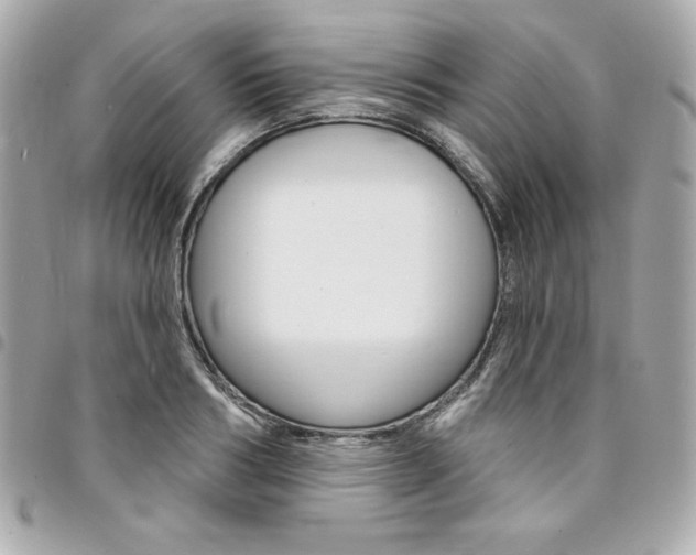 X0000095510986200712140931