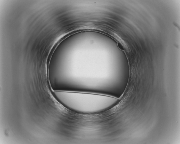 X0000095510988200712140931
