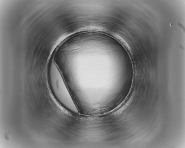 X0000095510989200712140931