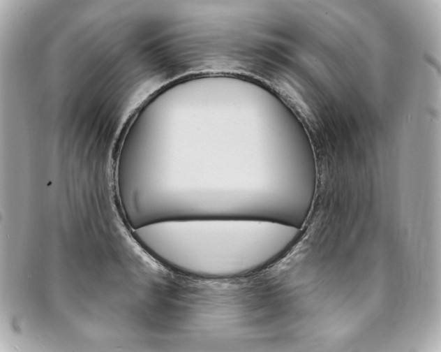 X0000095510990200712140931