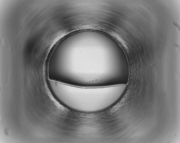 X0000095510991200712140931