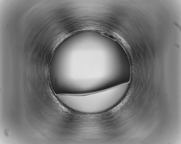 X0000095510993200712140931