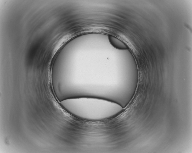 X0000095510994200712140930