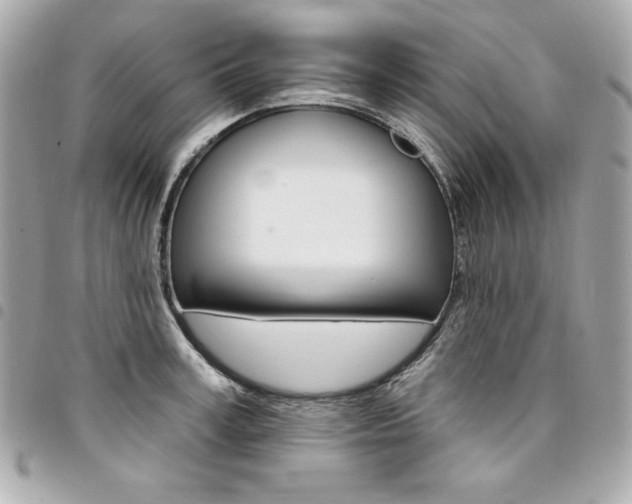 X0000095510995200712140930